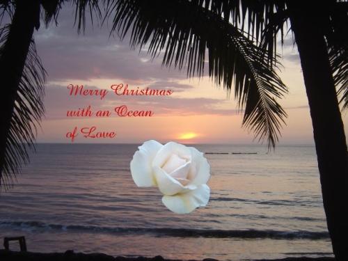 Merry Xmas