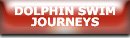 Dolphin Swim Journeys